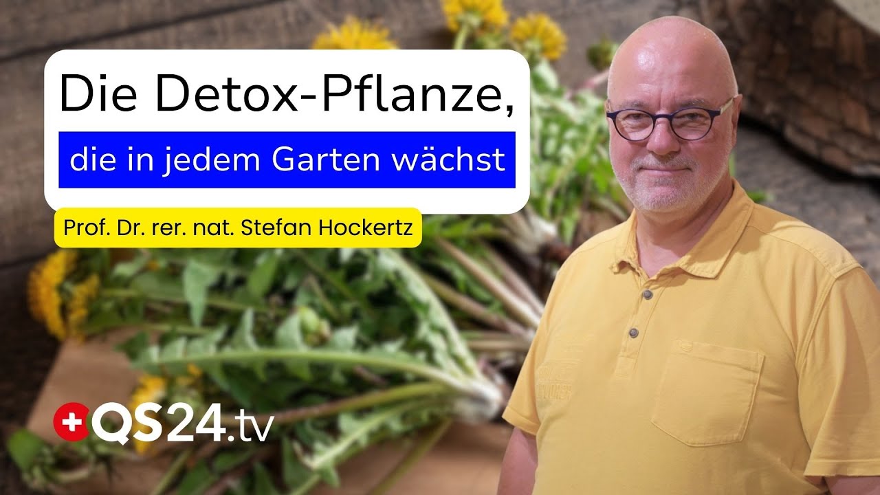 Löwenzahn: Das unterschätzte Heilmittel direkt vor unserer Haustür