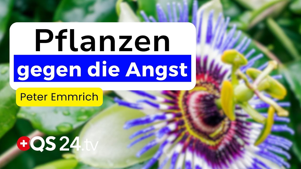 Diese 3 Pflanzen helfen wirklich bei Angst, Stress & Erschöpfung