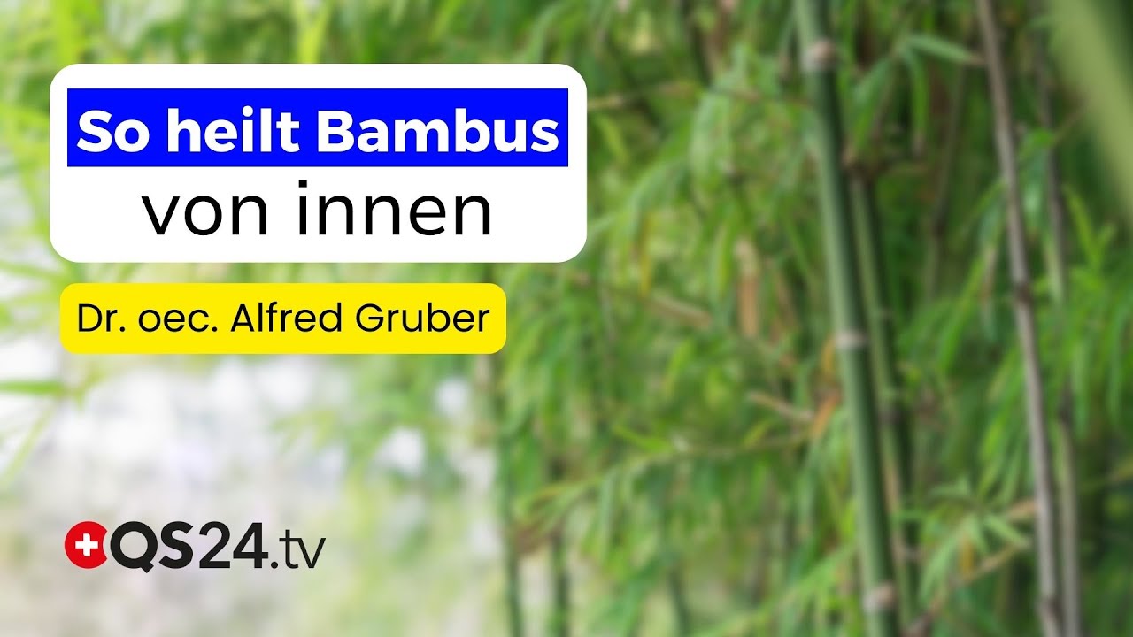 Bambus: Der grüne Schatz mit 521 Pflanzenstoffen für Zähne, Haut und Zellgesundheit