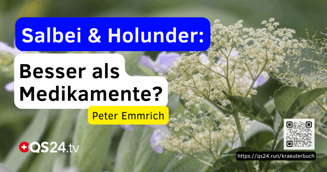 Salbei und Holunder – Die unterschätzten Naturwunder bei Infekten, Viren und mehr